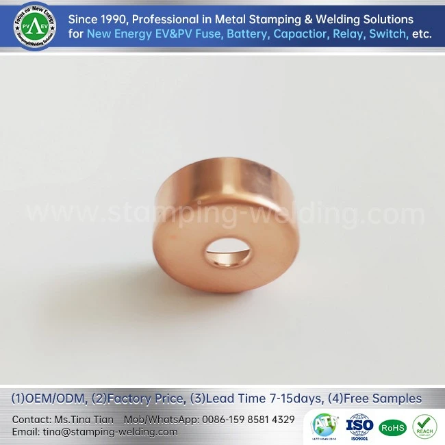 EV Spare Parts High Voltage Fuse Cap